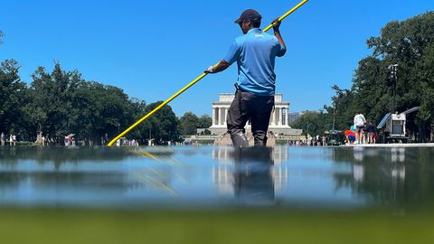 Trump's Dream of a Blue Reflecting Pool in Washington Turned Green