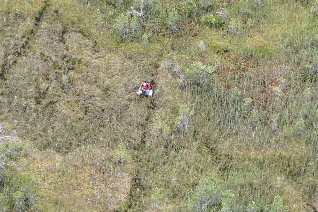 Politsei päästis drooni abil Alutaguse metsas eksinud mehe