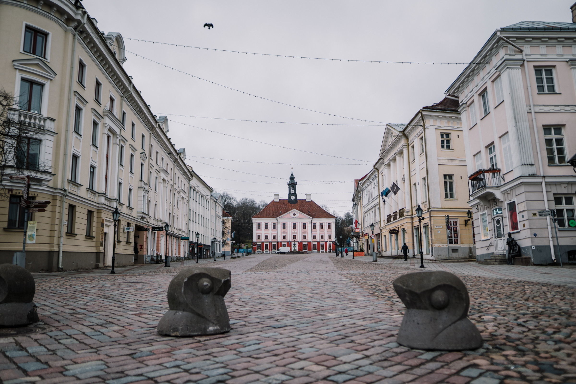 Tartu teadlased arendavad vereanalüüsi raseduse katkemise põhjuste tuvastamiseks