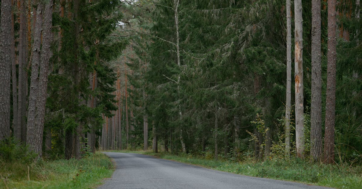 Alutaguse rahvuspark jääb ootele laienduse osas