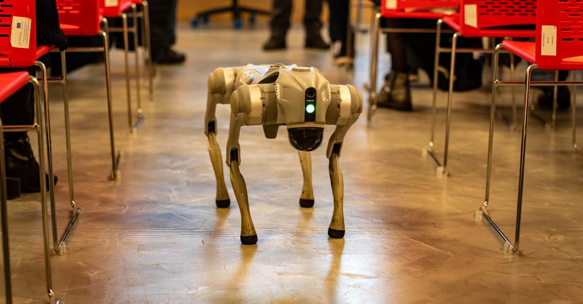 Robotid alistasid inimeste rekordid Pekingis