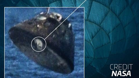 NASA Artemis II kuumakilp läbis edukalt katsetused