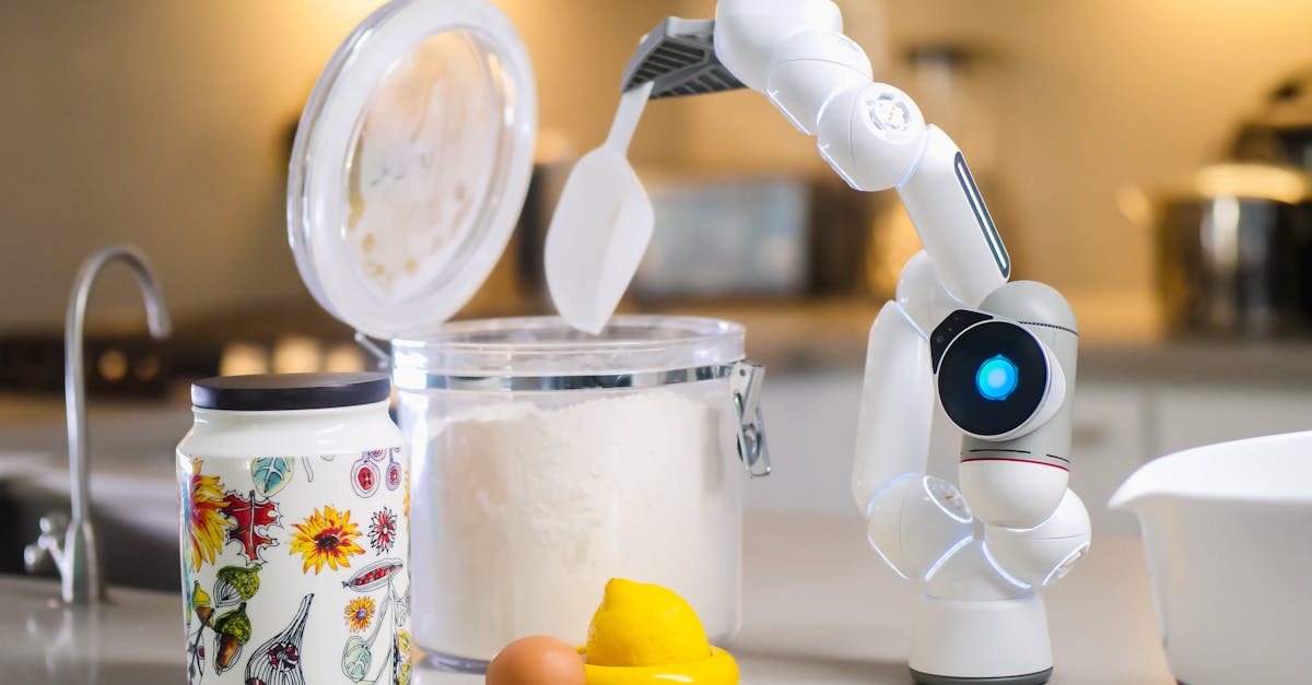 AI-Powered Restaurant Kitchens Could Democratize Food Business