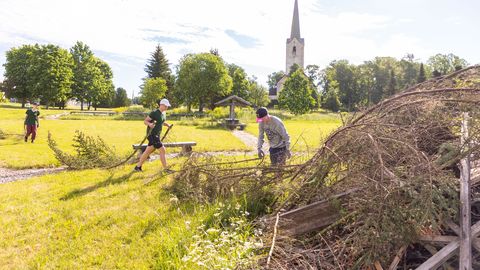 Estonian government eases summer job search for young people