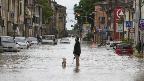 Itaalia linn kehtestab ranged reeglid koerte omanikele