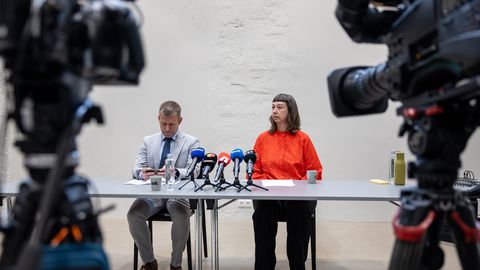 Eesti Kunstnike Liidult pettis keegi 700 000 eurot