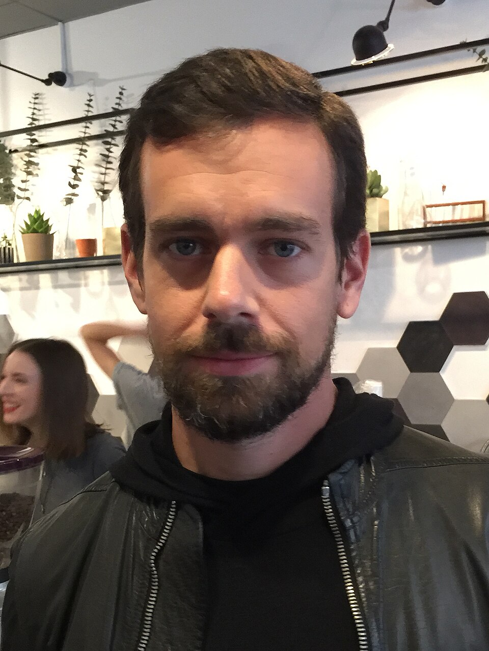 Возвращение Vine: новая платформа Divine запустилась публично