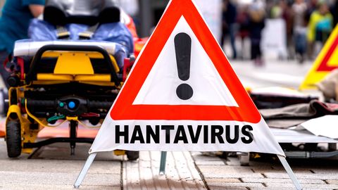Hollandi ornitoloog identifitseeritud hantaviiruse esimese nakatununa