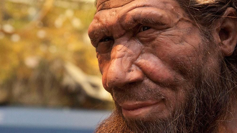 Neandertallaste geneetika paljastas dramaatilise ellujäämislugu