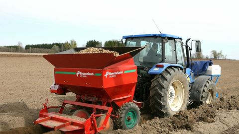 Eesti põllumehed kartulilt raskeid aegu: hinnasurve jätkub