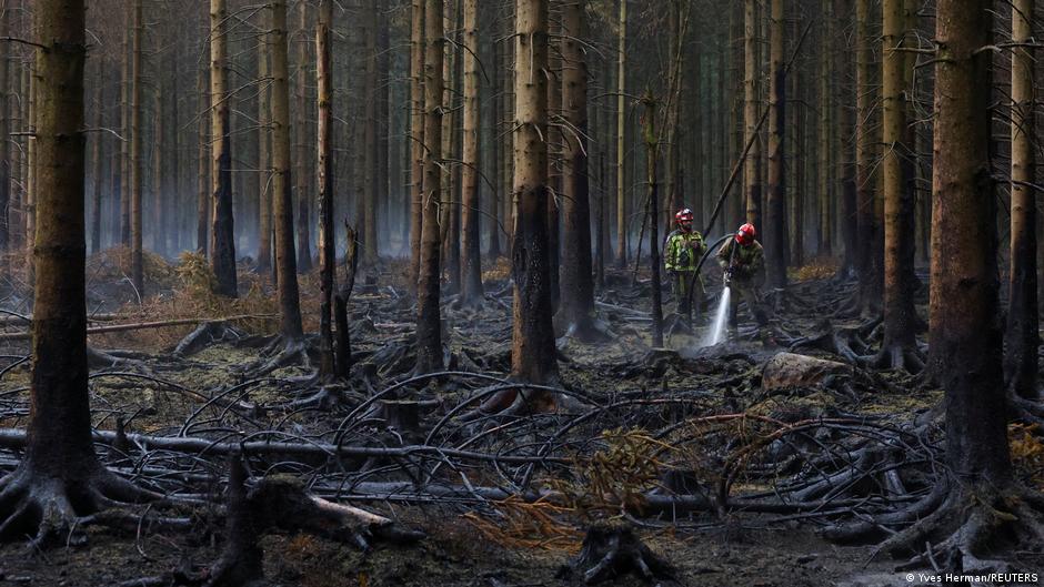 Suurpõleng Belgias: High Fensi looduskaitsealal jätkub võitlus leekidega