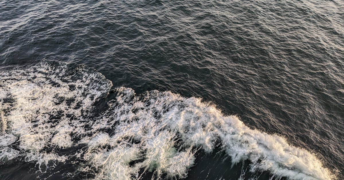 Alaskas mega-tsunami oli ajaloo teiseks suurim