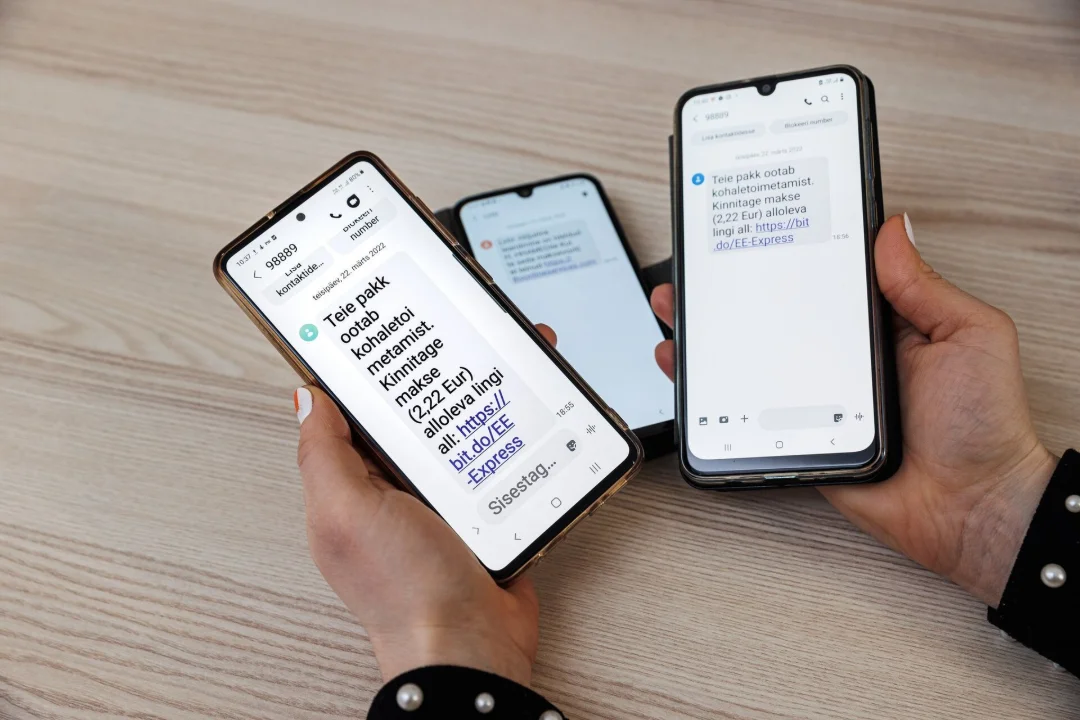 Digipettused Eestis: kuidas noored saavad eakaid ohtude eest kaitsta