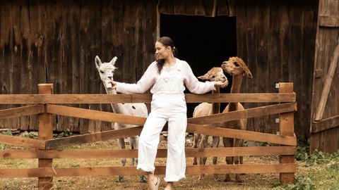Estonian Woman Now Owns Three Alpacas: These Animals Surprise with Their Habits