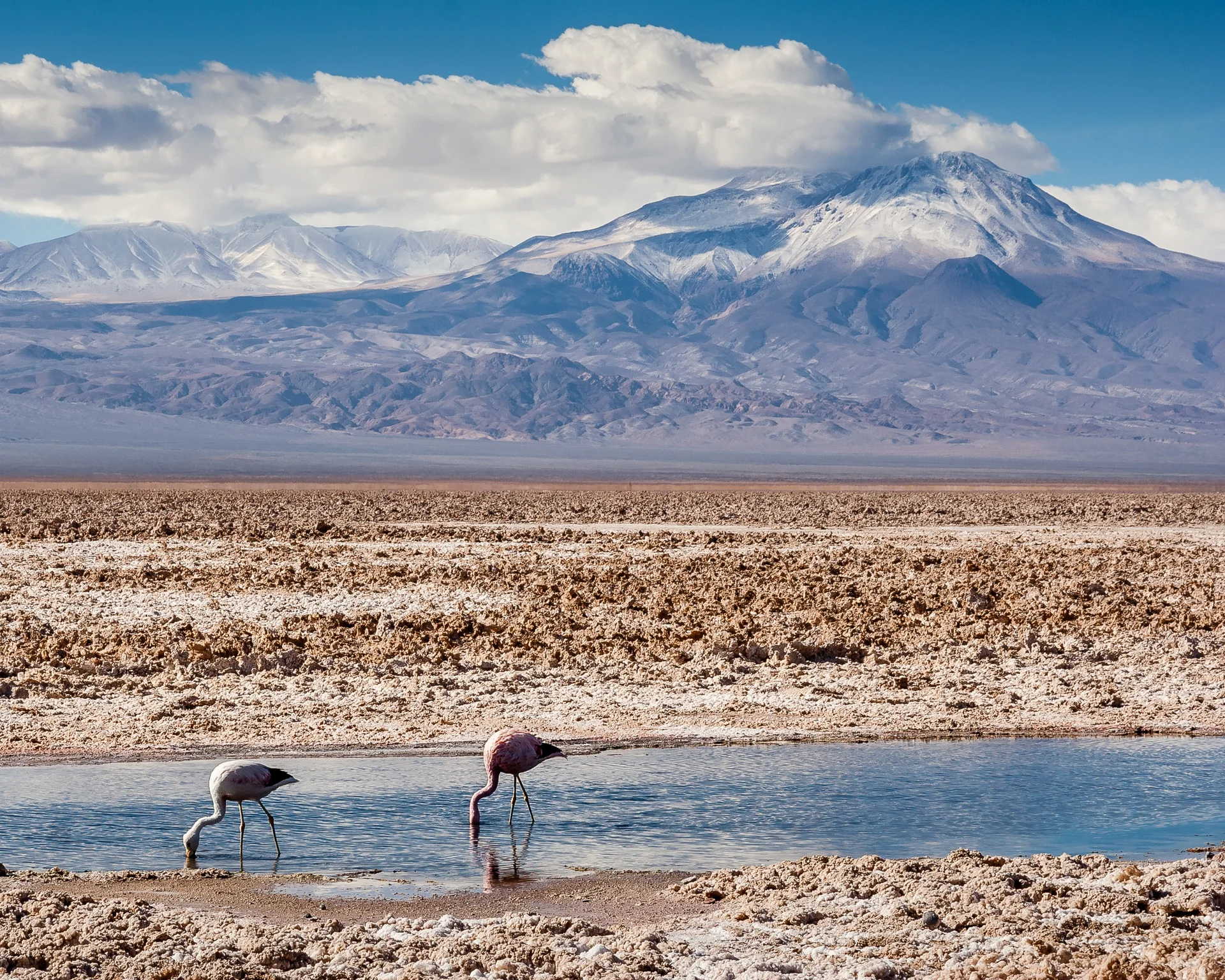 Tšiilis asuv Salar de Atacama paljastab rohelise energia kaevandamise varjuküljed