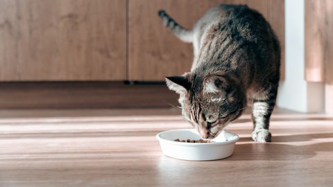 Heategevusorganisatsioon hoiatab potentsiaalse pettuse eest