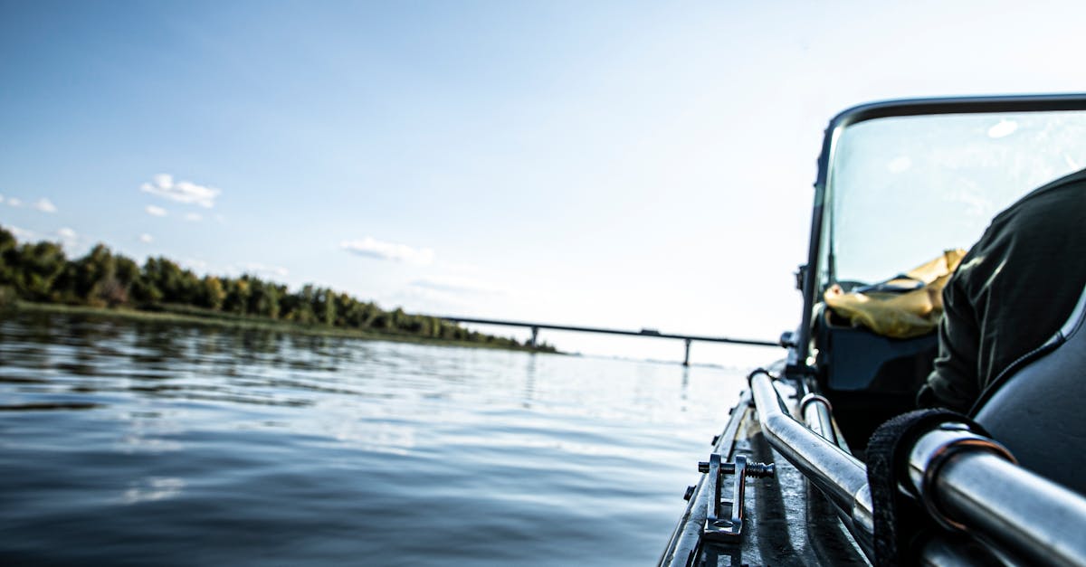 Influencer Faces Charges Over Airboat Alligator Shooting