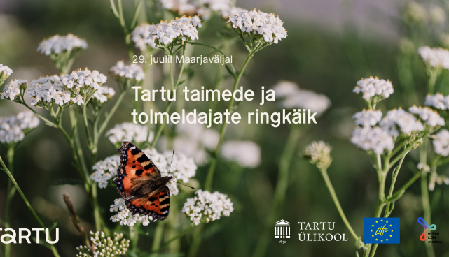 Tartu teadlased tutvustavad Maarjavälja linnalooduse katseala liigirikkust