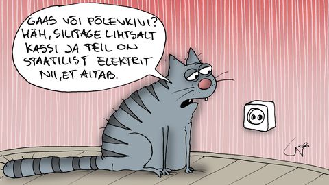Eleringi gaasijaamade plaan tekitab segadust energiapoliitikas