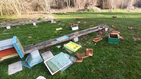 Karu rüüstas Lääne-Virumaal mesinikule mesitarude