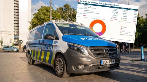 Tallinna Tammsaare park saab valvuriteks võlgnik turvafirma