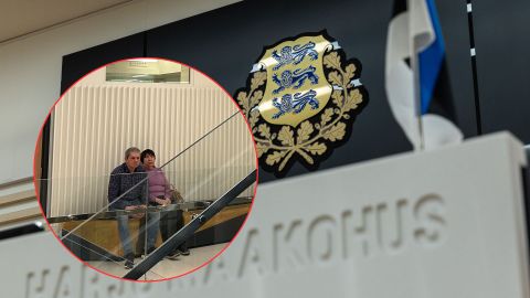 Tallinnas pastapliiatsiga silmapimeduseni vigastanud mees sotsiaalprogrammi kaudu karistuse saab