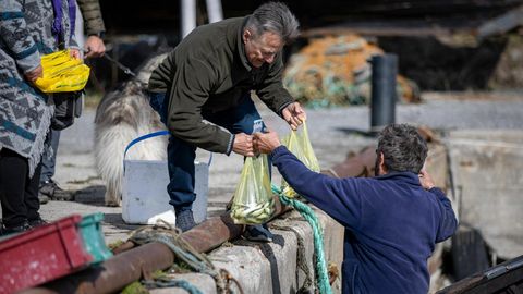 Üle Eesti toimub avatud kalasadamate päev