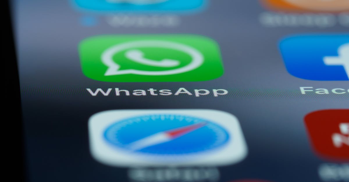 WhatsApp katsetab tasuliste funktsioonidega, kuid need on peamiselt kosmeetilised