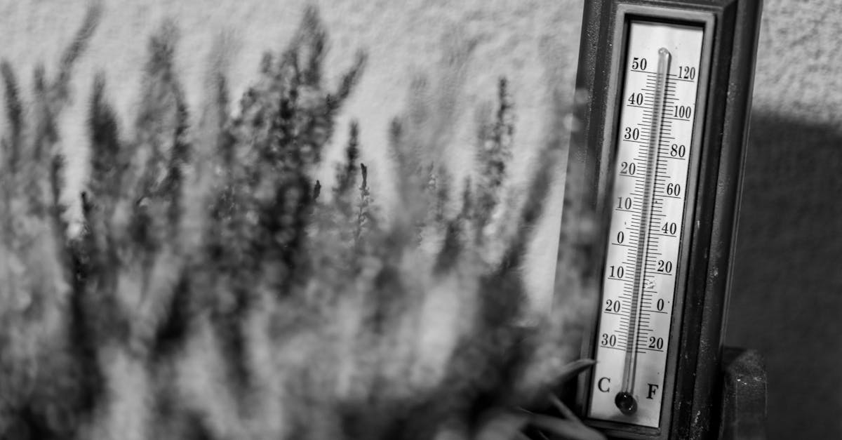 Japan Creates New Term for Extreme Heat Waves