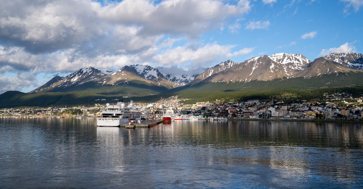 Ushuaia väidab, et ei ole haantaviirusepuhangu põhjustaja