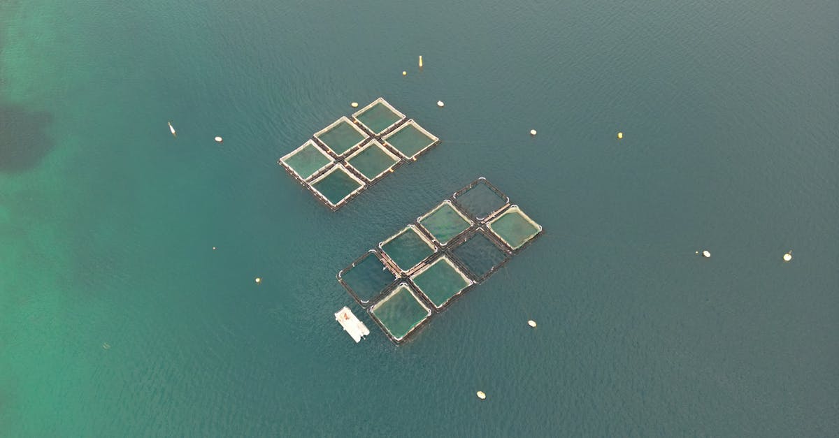 Norra kalapidamine saastavad fjorde reovee suuruses koguses