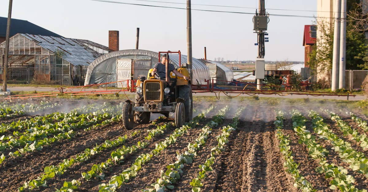 Global Food Supply Threatened by Iran Crisis, Warns Fertilizer Giant