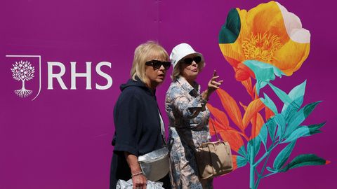 Lillenäitus süttis tehisaru kasutamise vaidlusesse