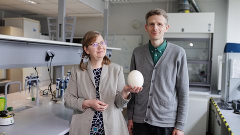 Kas vabapidamisel kanade munad on tegelikult paremad?