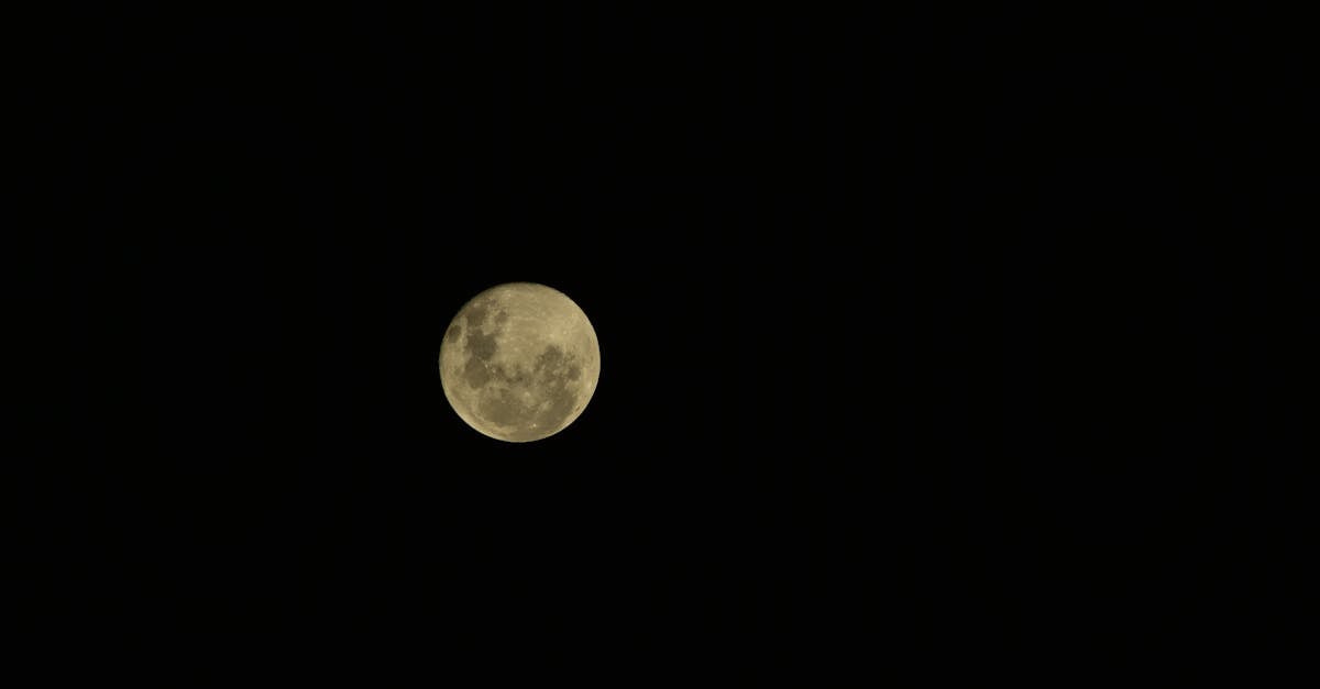 May's Flower Moon to Illuminate Night Sky This Friday