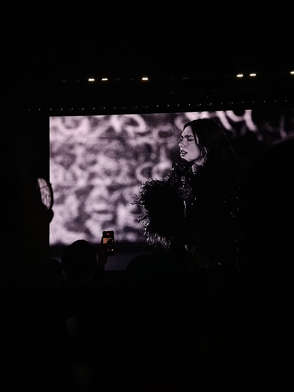 Popstaar Dua Lipa nõuab Samsungilt 15 miljonit dollari kujutise kasutamise eest