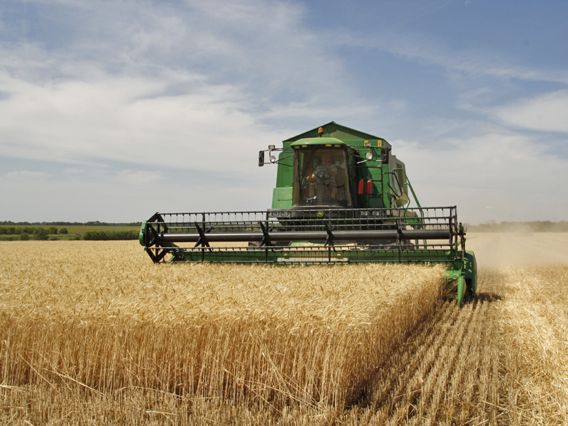 Central European drought could raise grain prices for Estonian farmers