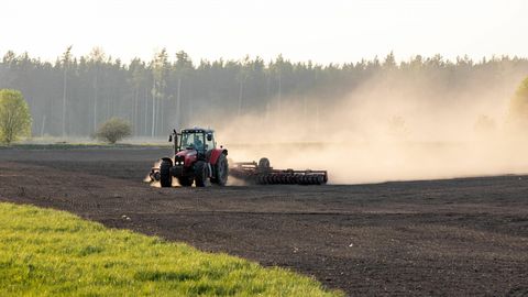 Looduskalender: Põud testib metsa elu