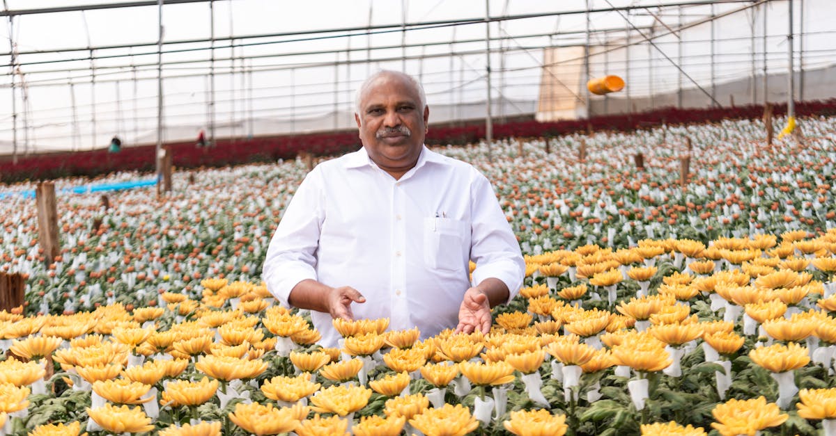 Orchid Breeding: A Decade-Long Quest for Profitable Blooms
