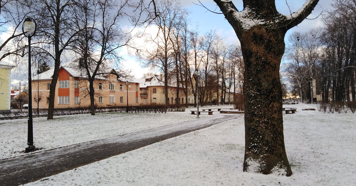 Hispaania antropoloog uuris Ida-Virumaa keldrikultuurit kuus aastat