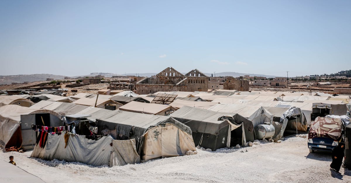 Disease-carrying pests spread through Gaza displacement camps