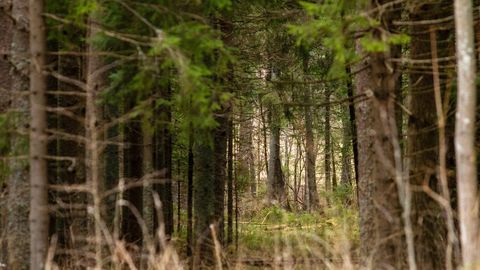 Uus kaitseprotokoll: maaomanikud peavad vastama kirjadele