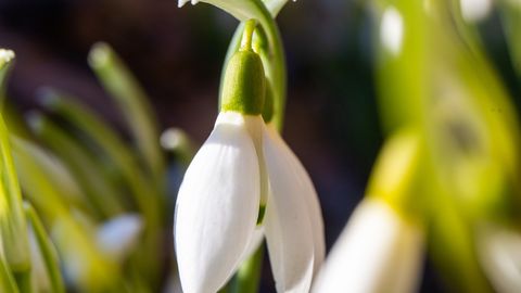 Laupäeval oodata vihma ja lörtsi, temperatuur kuni +8°C