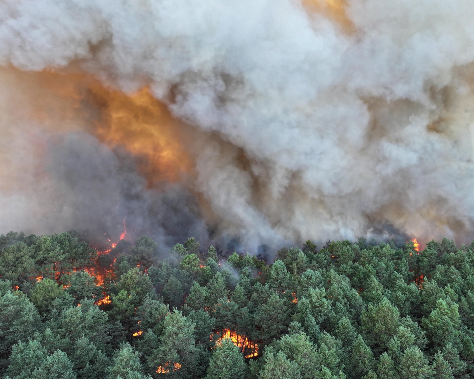 Fontainebleau' metsas Pariisi lähistel põleb:: 800 hektarit tules, külad evakueeritud