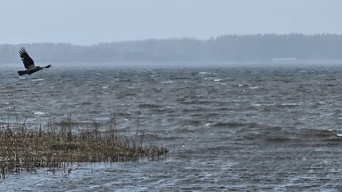 Aprilli lõpus ootab Eestit keeruline ilm: lumi ja libedus üllatavad