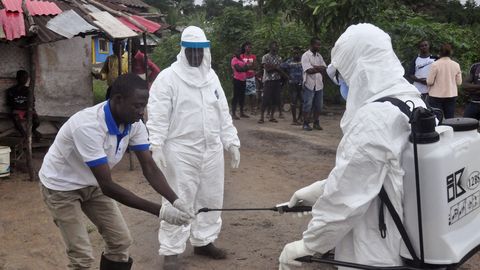 Ebola puhangud: kuidas kohalik virus muutub rahvusvaheliseks kriisiks