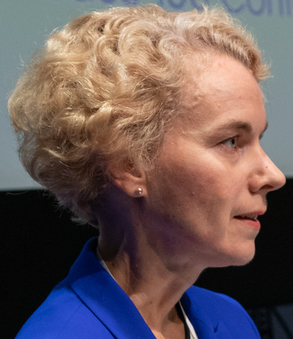Tallinn: Kristi Raik nimetab võrdlust Ukraina 2021. aasta olukorraga Baltimaades vääraks