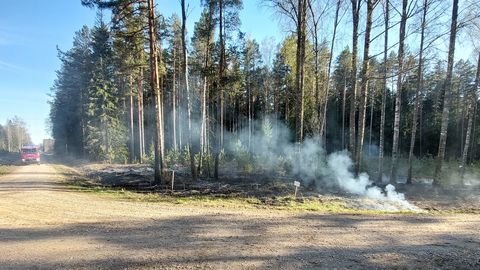 Pärnumaal neljad maastikupõlengud nädalavahetusel