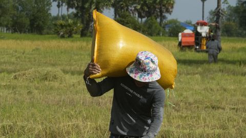 Microloans were meant to reduce poverty, but have devastated millions worldwide