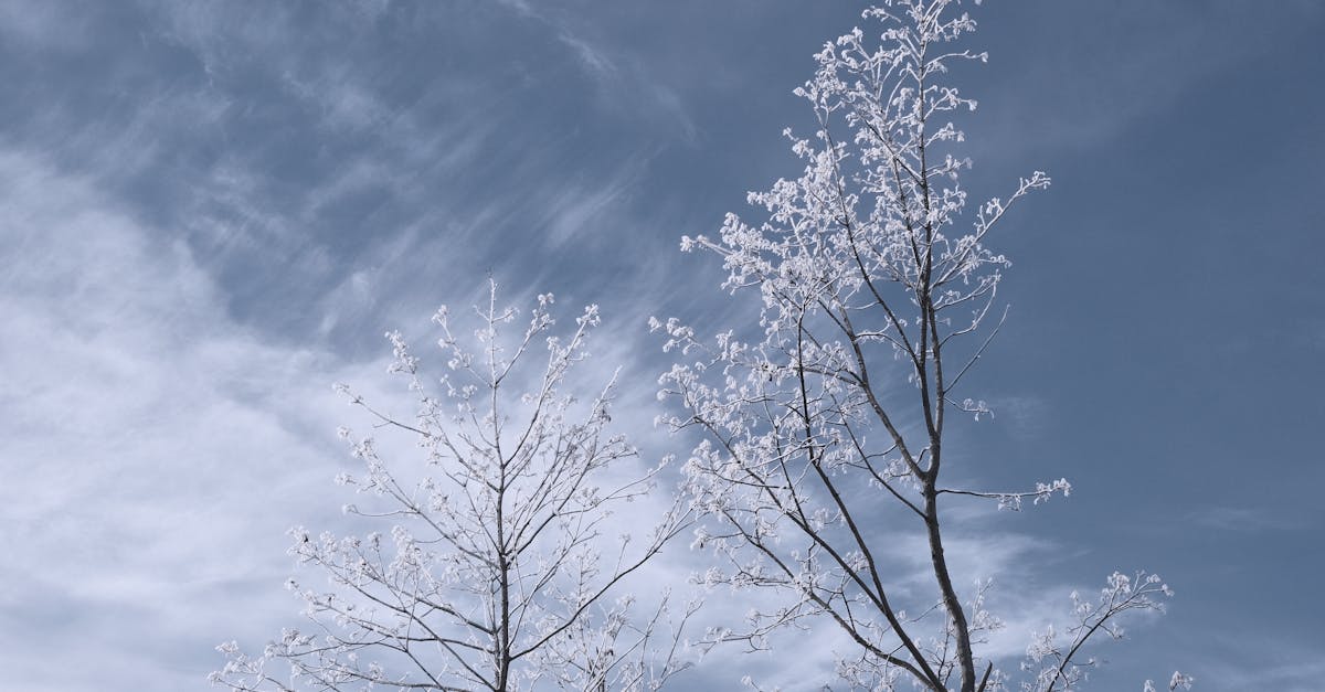Sünoptik teatas: õhutemperatuur tõuseb 15 kraadini